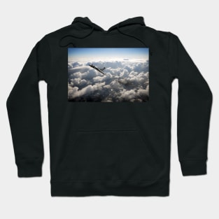 Phenomenal Climb Hoodie